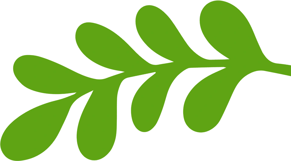 Planta verde
