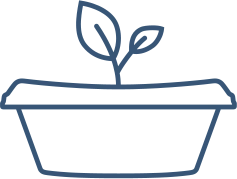 Ilustração do pote de Qualy como um vaso de plantas